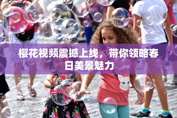 樱花视频震撼上线，带你领略春日美景魅力