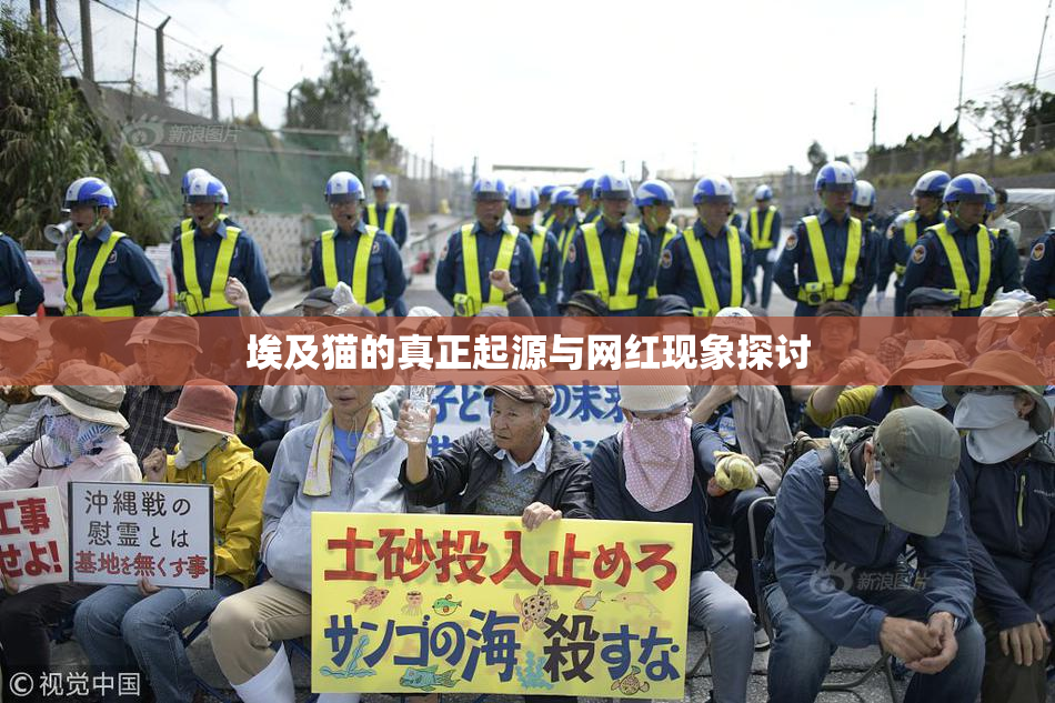 埃及猫的真正起源与网红现象探讨