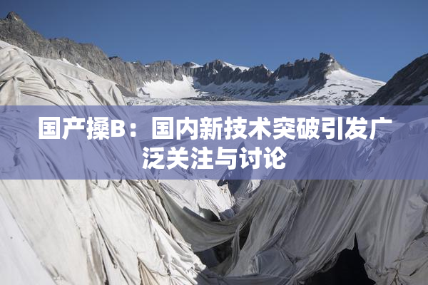 国产搡B：国内新技术突破引发广泛关注与讨论