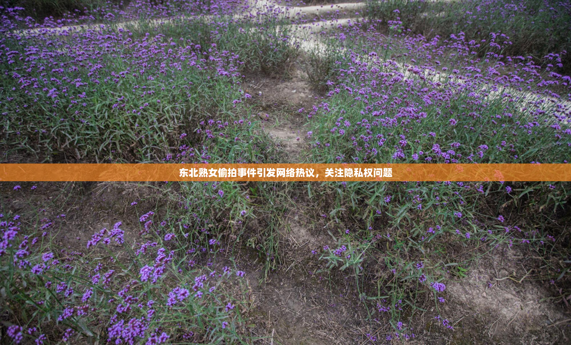 东北熟女偷拍事件引发网络热议，关注隐私权问题