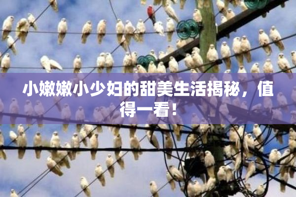 小嫩嫩小少妇的甜美生活揭秘，值得一看！