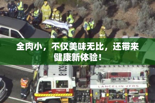 全肉小，不仅美味无比，还带来健康新体验！