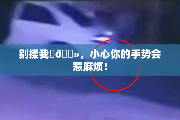 别揉我‌🐻，小心你的手势会惹麻烦！