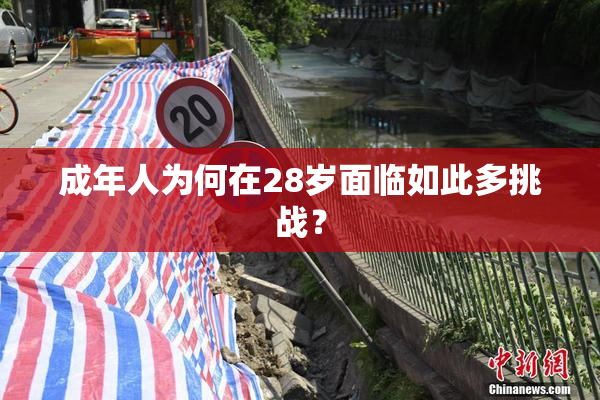 成年人为何在28岁面临如此多挑战？