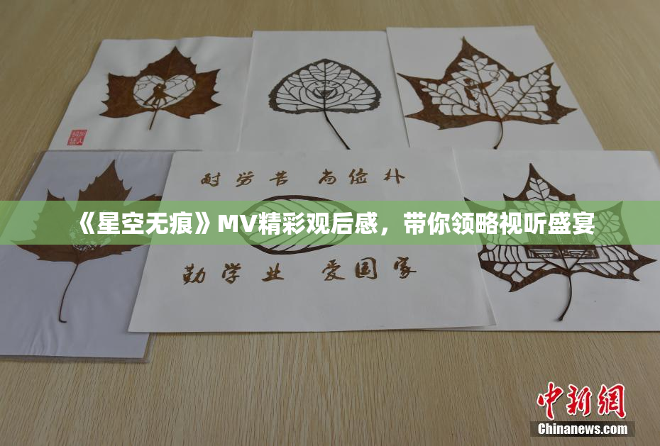 《星空无痕》MV精彩观后感，带你领略视听盛宴