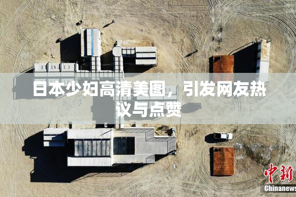 日本少妇高清美图，引发网友热议与点赞