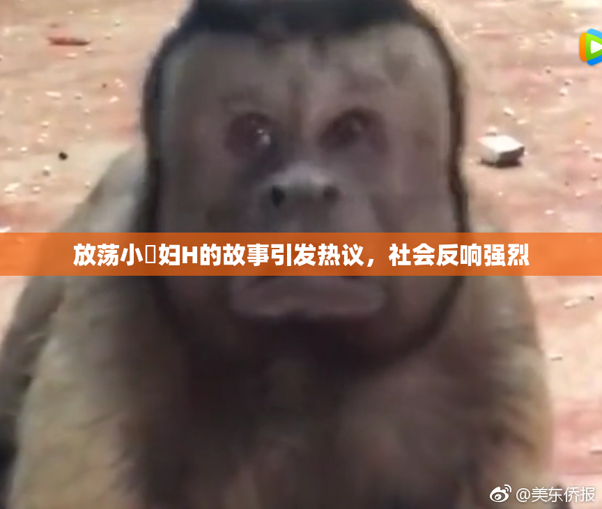 放荡小婬妇H的故事引发热议，社会反响强烈