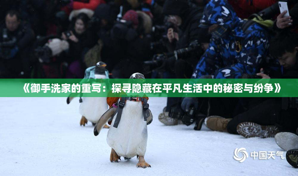 《御手洗家的重写：探寻隐藏在平凡生活中的秘密与纷争》