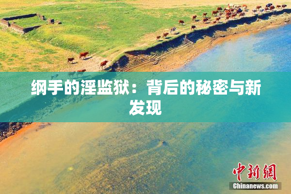 纲手的淫监狱：背后的秘密与新发现