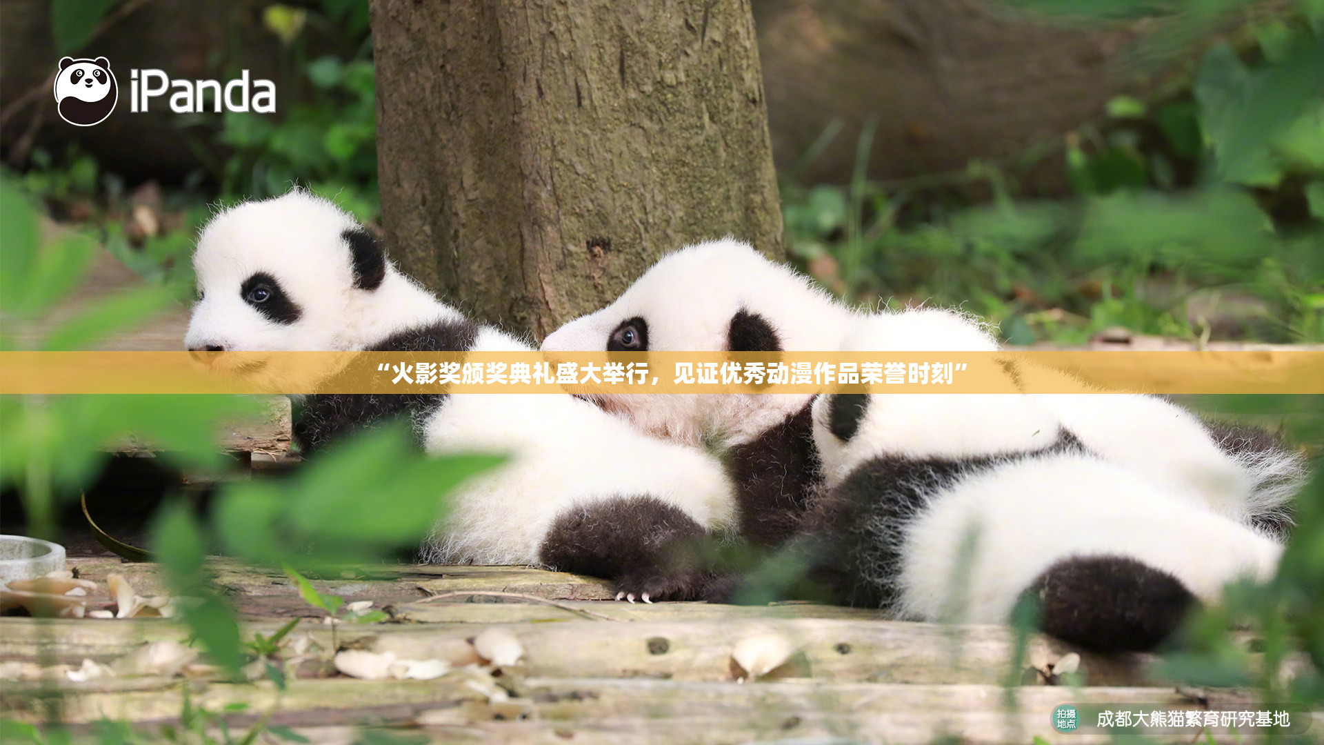 “火影奖颁奖典礼盛大举行，见证优秀动漫作品荣誉时刻”