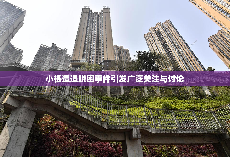 小樱遭遇脱困事件引发广泛关注与讨论