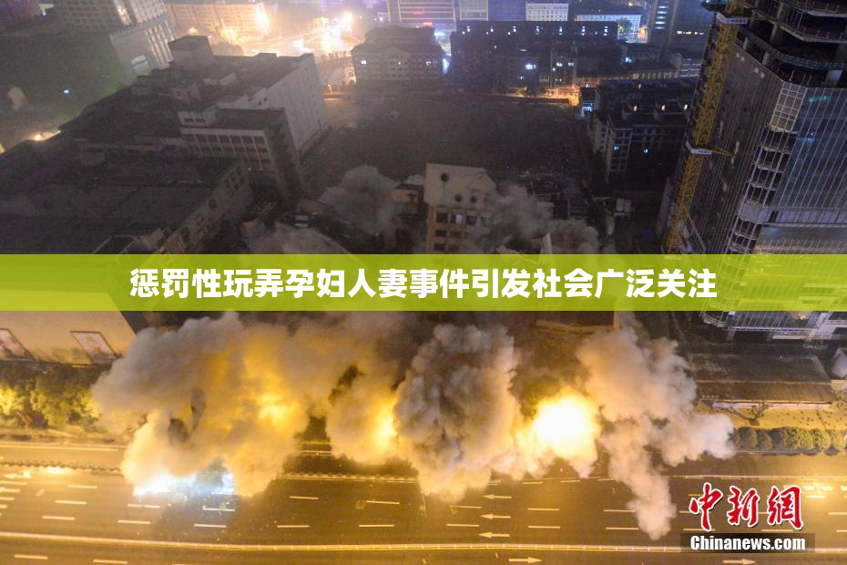 惩罚性玩弄孕妇人妻事件引发社会广泛关注