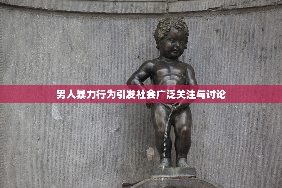 男人暴力行为引发社会广泛关注与讨论