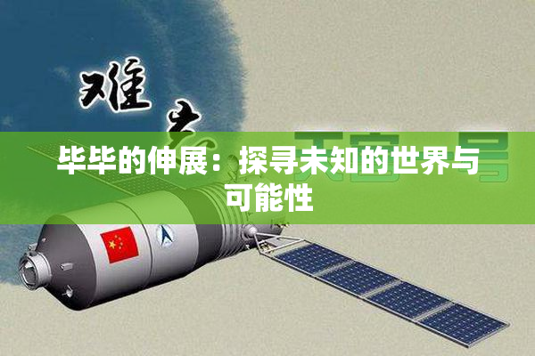 毕毕的伸展：探寻未知的世界与可能性