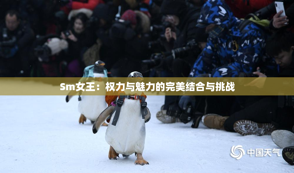 Sm女王：权力与魅力的完美结合与挑战