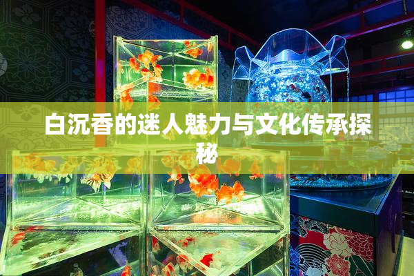 白沉香的迷人魅力与文化传承探秘
