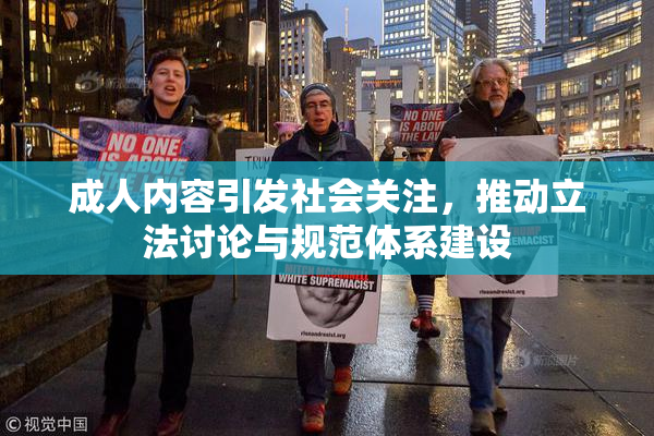 成人内容引发社会关注，推动立法讨论与规范体系建设