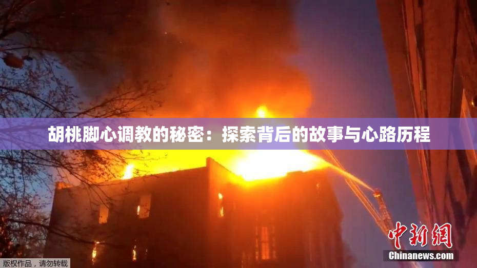 胡桃脚心调教的秘密：探索背后的故事与心路历程