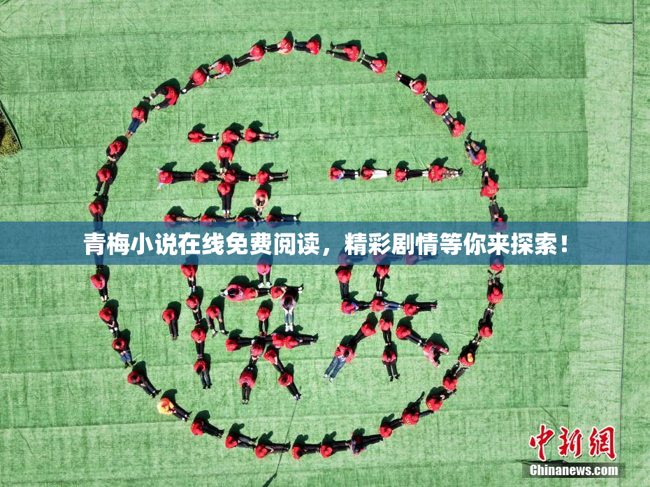 青梅小说在线免费阅读，精彩剧情等你来探索！