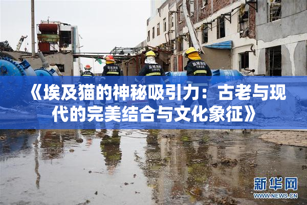 《埃及猫的神秘吸引力：古老与现代的完美结合与文化象征》