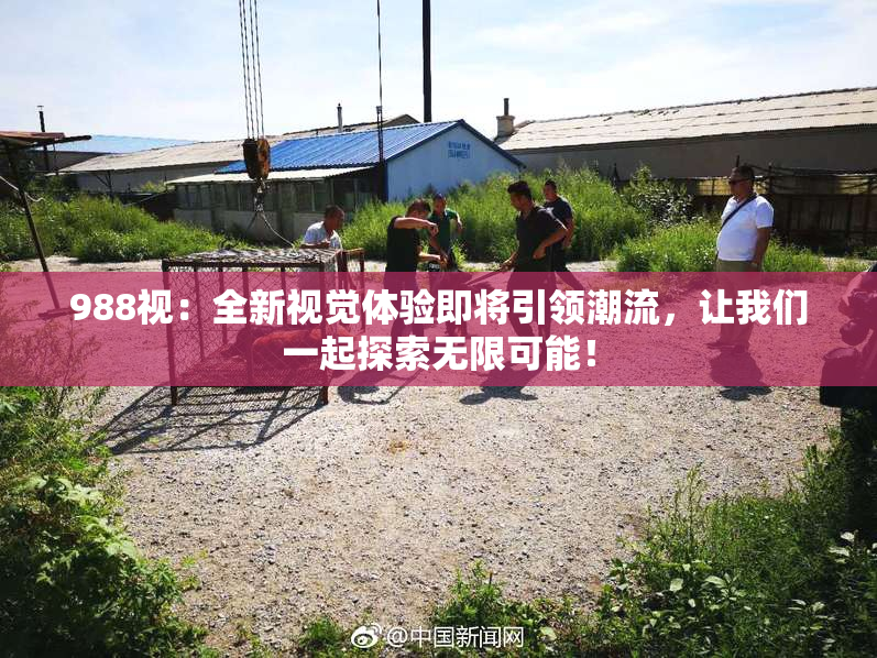 988视：全新视觉体验即将引领潮流，让我们一起探索无限可能！