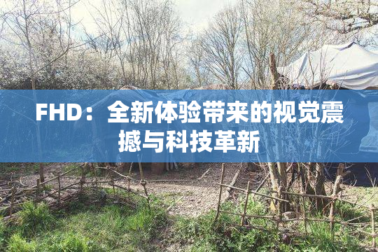 FHD：全新体验带来的视觉震撼与科技革新