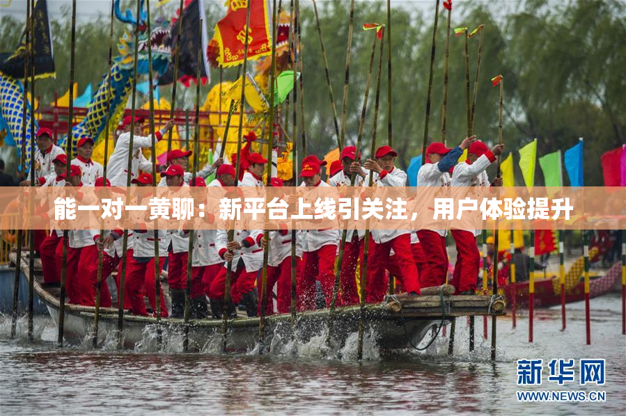 能一对一黄聊：新平台上线引关注，用户体验提升