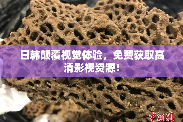 日韩颠覆视觉体验，免费获取高清影视资源！