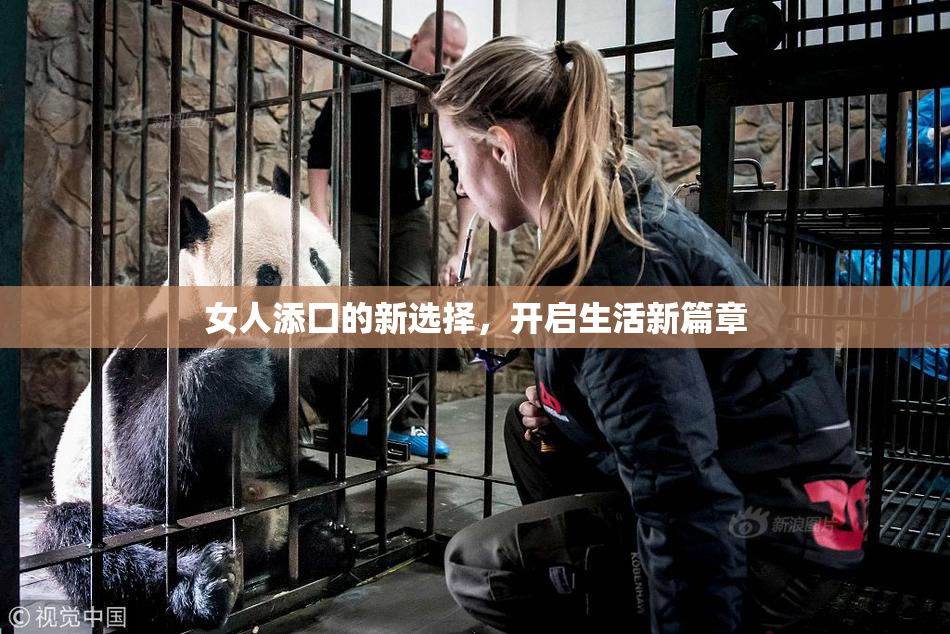 女人添囗的新选择，开启生活新篇章