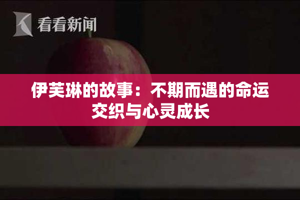 伊芙琳的故事：不期而遇的命运交织与心灵成长