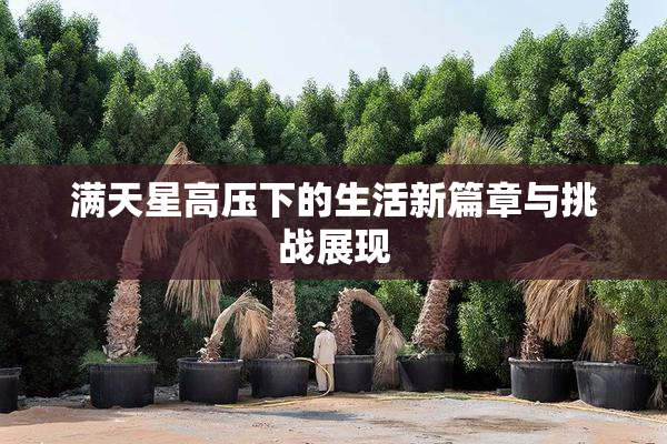 满天星高压下的生活新篇章与挑战展现