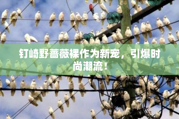 钉崎野蔷薇裸作为新宠，引爆时尚潮流！