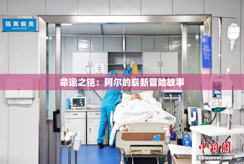 命运之铠：阿尔的崭新冒险故事