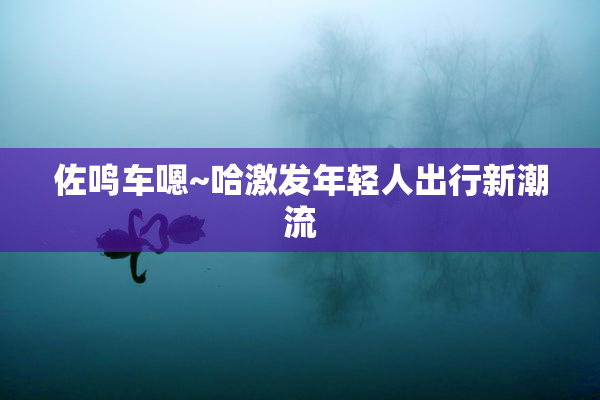 佐鸣车嗯~哈激发年轻人出行新潮流