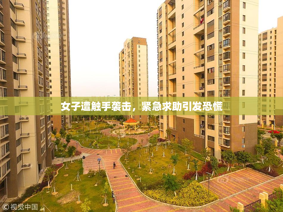 女子遭触手袭击，紧急求助引发恐慌