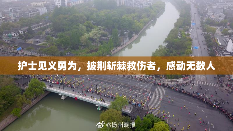 护士见义勇为，披荆斩棘救伤者，感动无数人