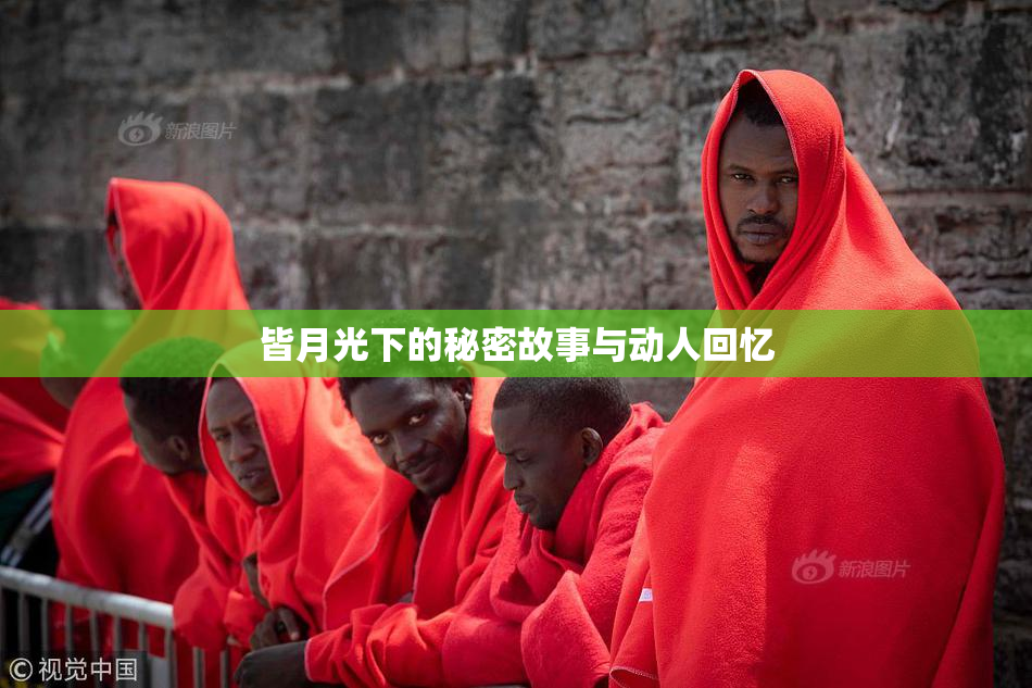 皆月光下的秘密故事与动人回忆
