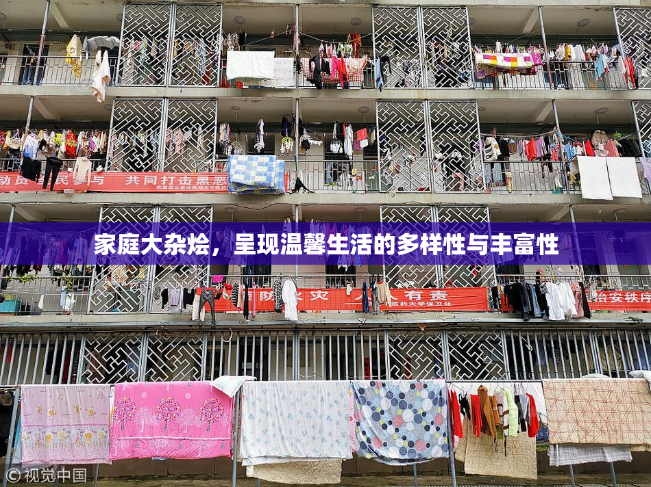 家庭大杂烩，呈现温馨生活的多样性与丰富性