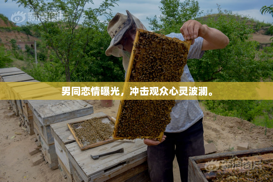 男同恋情曝光，冲击观众心灵波澜。
