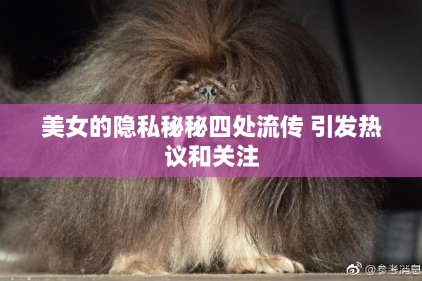 美女的隐私秘秘四处流传 引发热议和关注