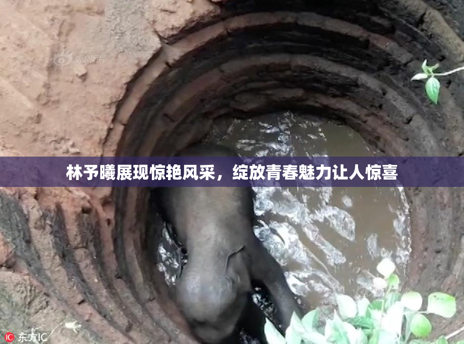 林予曦展现惊艳风采，绽放青春魅力让人惊喜