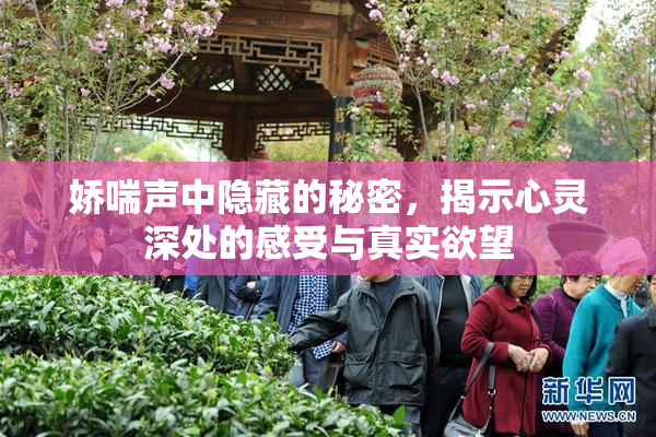 娇喘声中隐藏的秘密，揭示心灵深处的感受与真实欲望