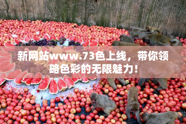 新网站www.73色上线，带你领略色彩的无限魅力！