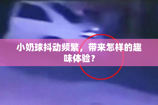 小奶球抖动频繁，带来怎样的趣味体验？