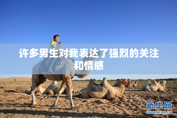 许多男生对我表达了强烈的关注和情感