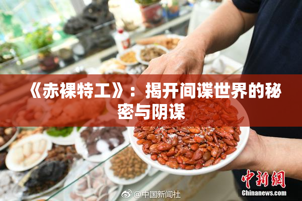 《赤裸特工》：揭开间谍世界的秘密与阴谋