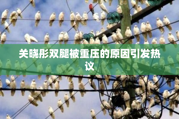 关晓彤双腿被重压的原因引发热议