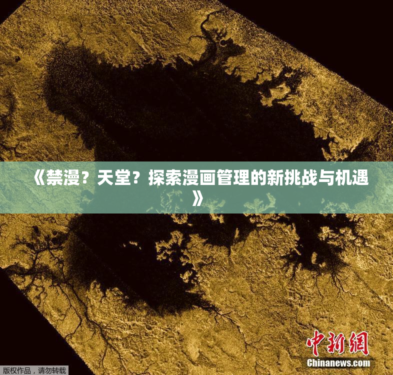 《禁漫？天堂？探索漫画管理的新挑战与机遇》