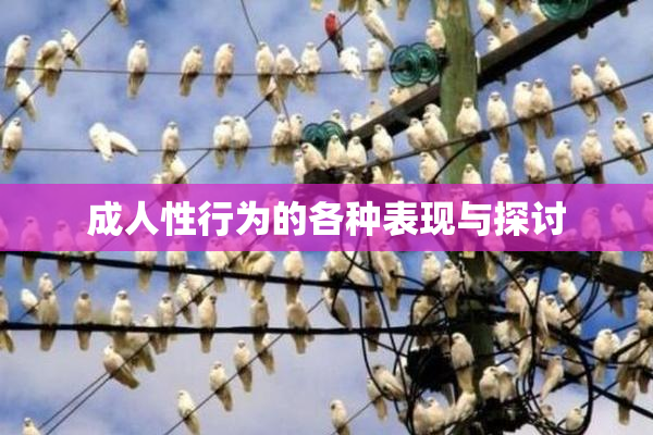 成人性行为的各种表现与探讨