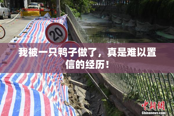 我被一只鸭子做了，真是难以置信的经历！